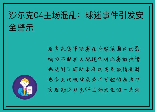 沙尔克04主场混乱：球迷事件引发安全警示