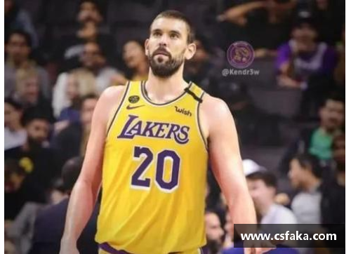 火狐全站官方网站NBA球员税收政策解析与实际影响分析